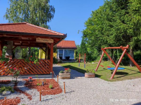 Family friendly house with a swimming pool Tounj, Gorski kotar - 17577